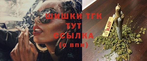 гашик Михайлов