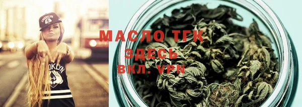 гашик Михайлов