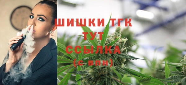 гашик Михайлов