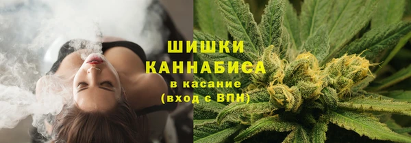 гашик Михайлов