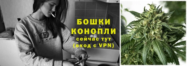 гашик Михайлов