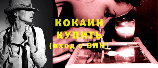 гашик Михайлов